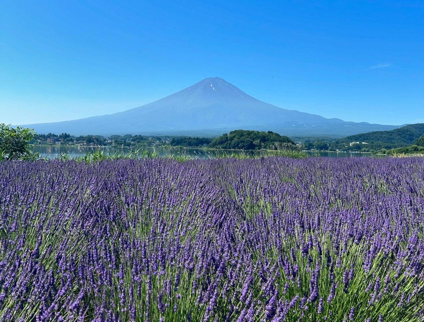 Holiday Home Furinkazan 風林火山 Fudzsikavagucsiko Kültér fotó